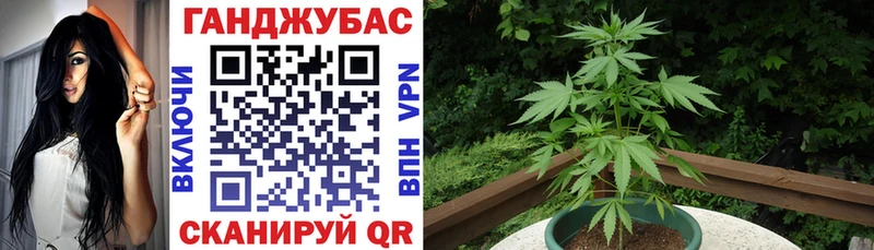 наркотики  Верея  Каннабис тримм 